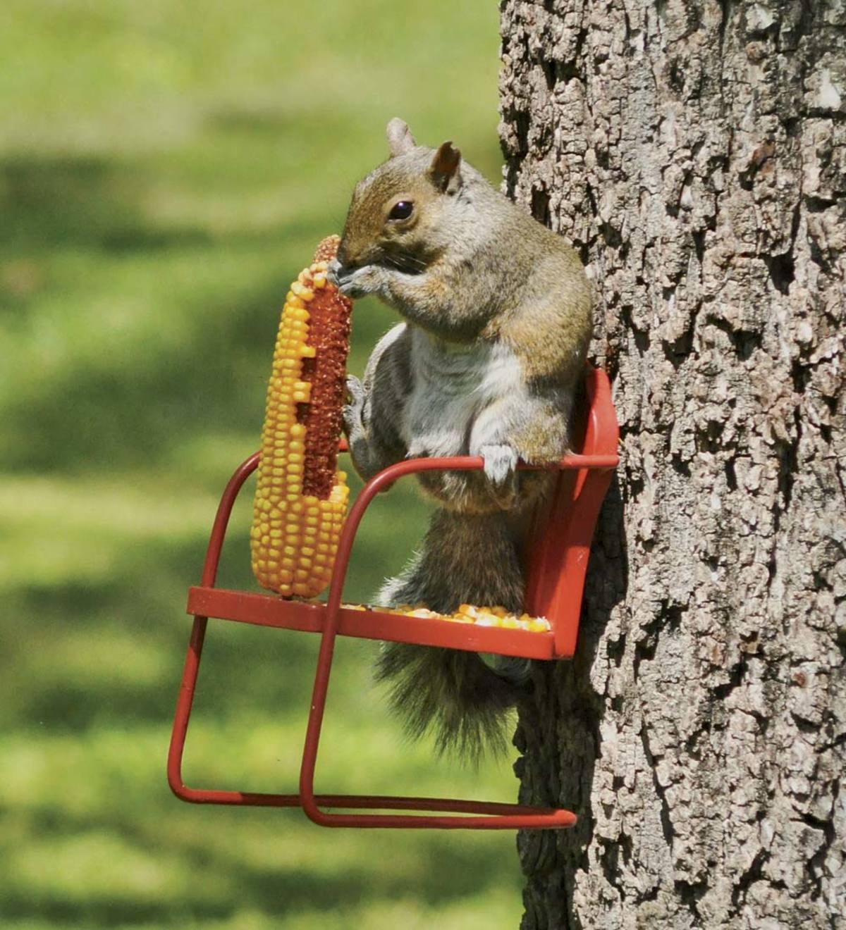 Red Retro Metal Lawn Chair Squirrel Feeder