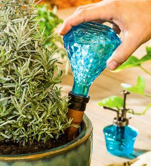 Faceted Glass House Plant Watering Gift Set - Smoke