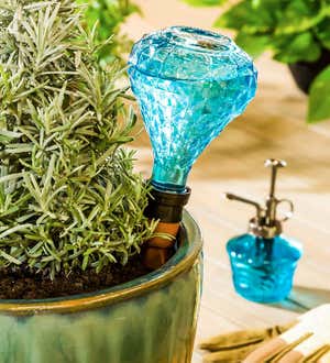 Faceted Glass House Plant Watering Gift Set - Blue