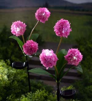 Solar Garden Flowers with Integrated LED Lights, Set of Two - Pink