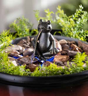 Hydria Fountain Gurgling Frog Accessory