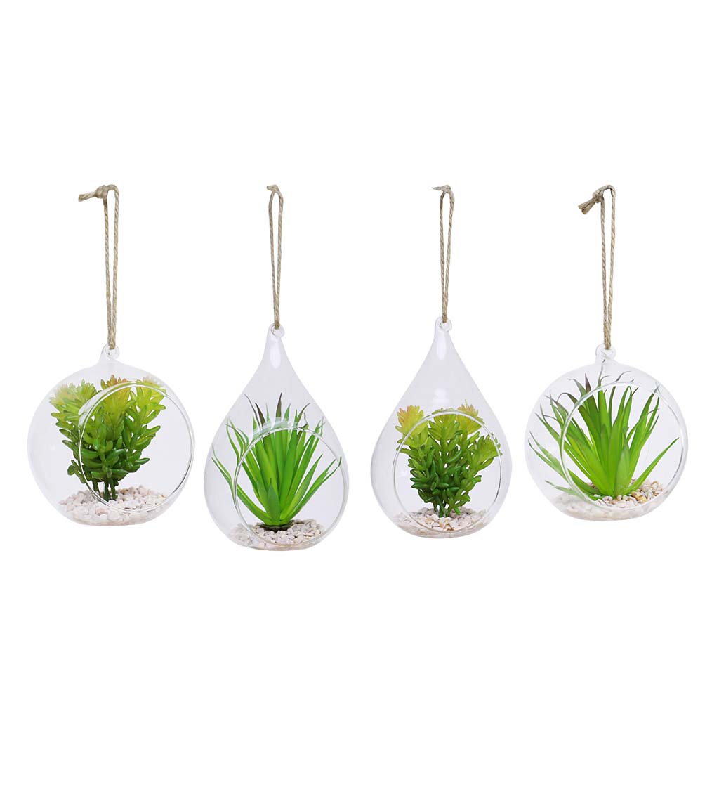 Hanging Faux Succulents in Clear Glass Globes, Set of 4