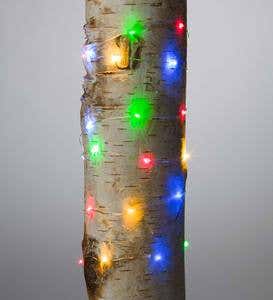 Firefly String Lights, 40 Multi LEDs on Silver Wire, Battery Operated, 6'6"L