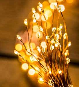 Firefly Bunch Lights, 640 Warm White LEDs on Bendable Wires, Electric, 6'2"L