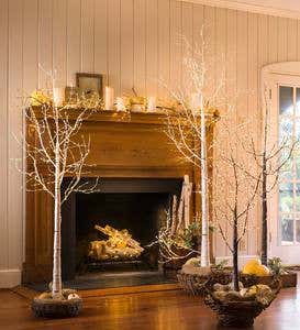 Small Birch Tree with 300 Micro Lights, 39"H - Brown