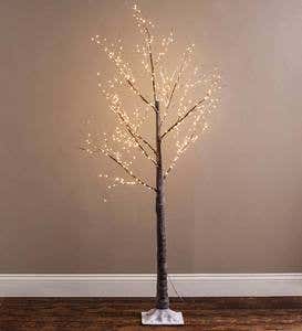 Medium Birch Tree with 400 Micro Lights, 59"H - Brown