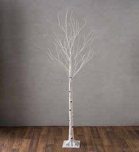 Extra Large Indoor/Outdoor Birch Tree with 750 Warm White Lights - Brown
