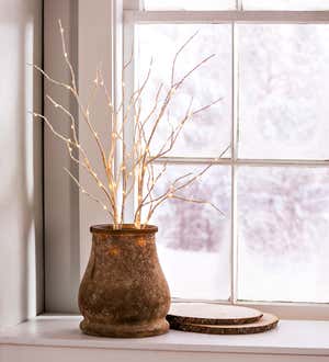 Indoor/Outdoor Lighted Birch Branches, Set of 2 - Brown