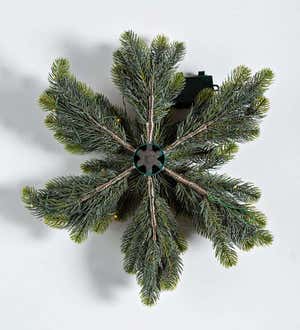 Wintergreen Lighted Holiday Snowflake