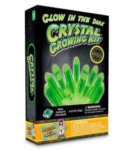 Glow-in-the-Dark Crystal Growing Kit