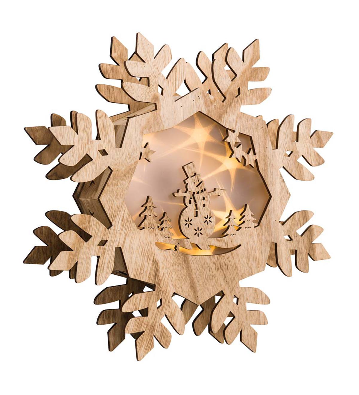 Snowflake with Lighted Holographic Inset