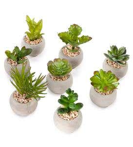 Faux Succulents in Ceramic Pots, Set of 8