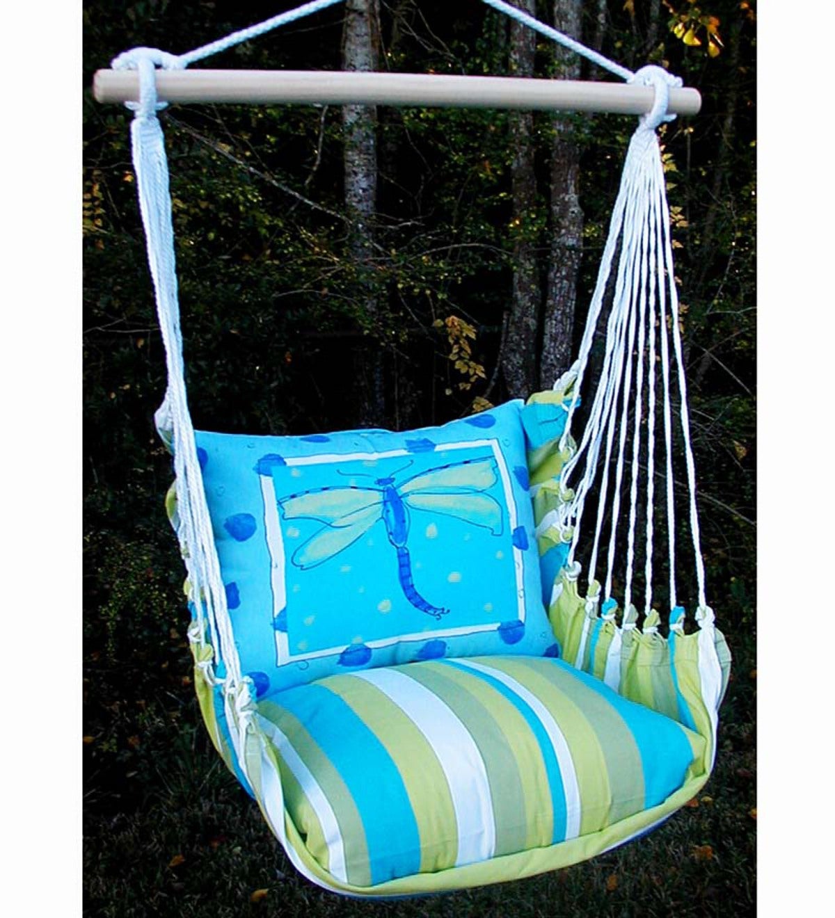 Dragonfly Hammock Swing Chair with Tote
