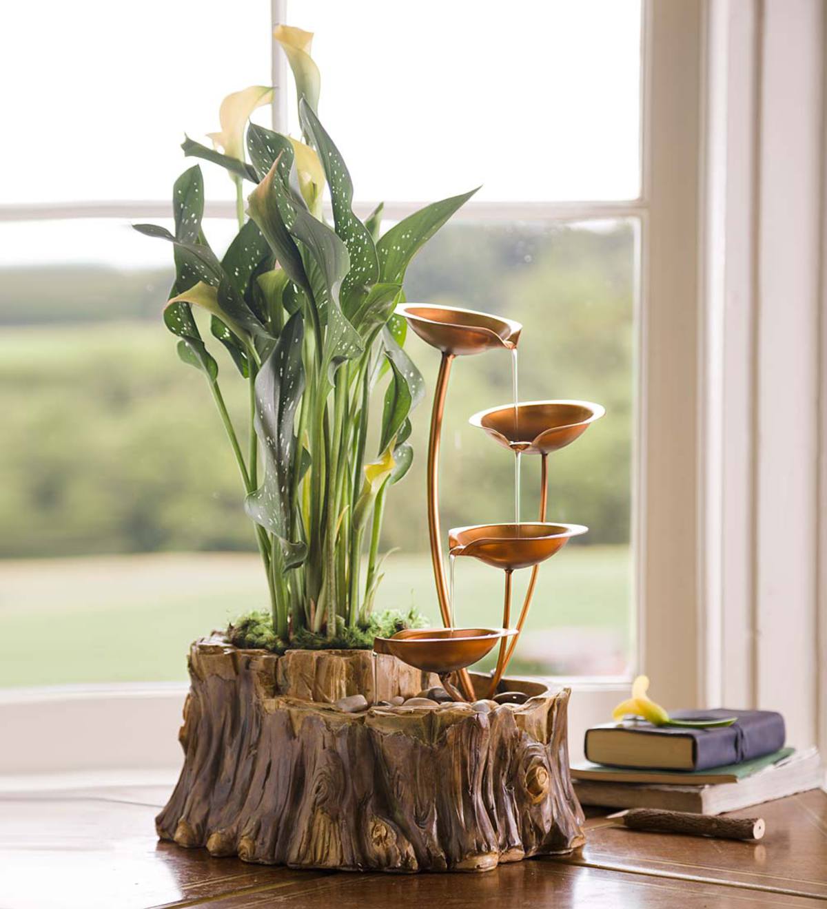 Tabletop Fountain with Planter