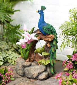 Indoor/Outdoor Peacock Fountain
