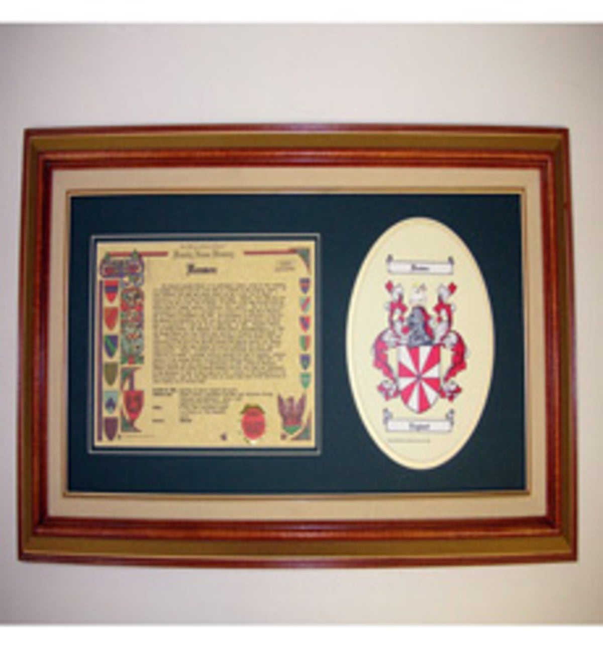 Coat of Arms & Family Name History