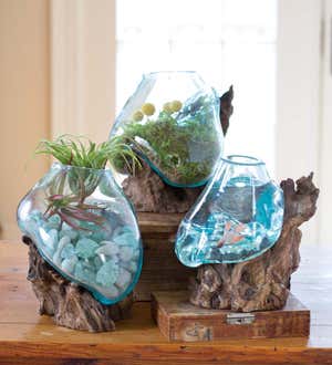 Freeform Molten Glass and Natural Teak Wood Tabletop Sculpture