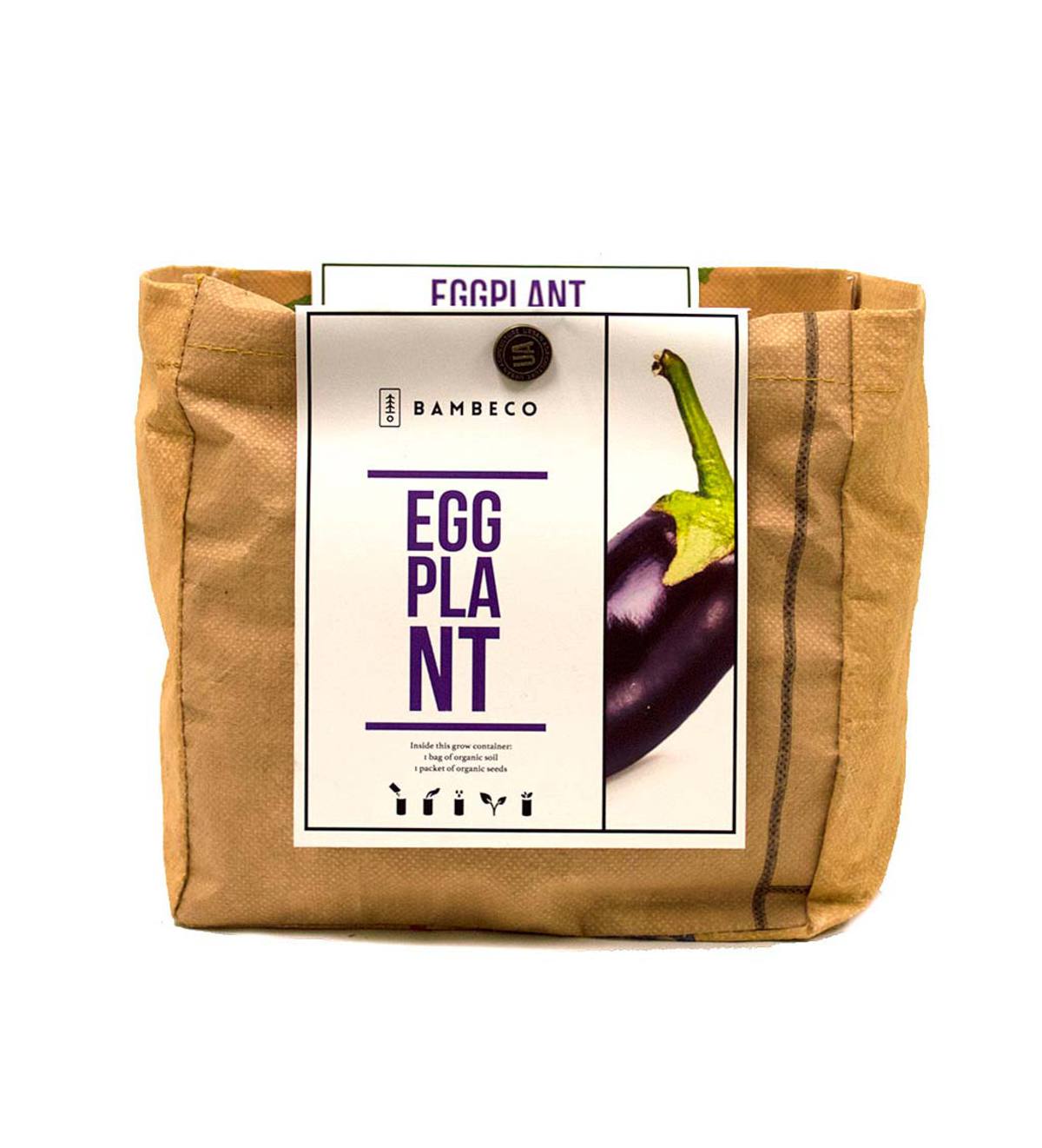 Organic Garden Vegetables Grow Kit - Eggplant