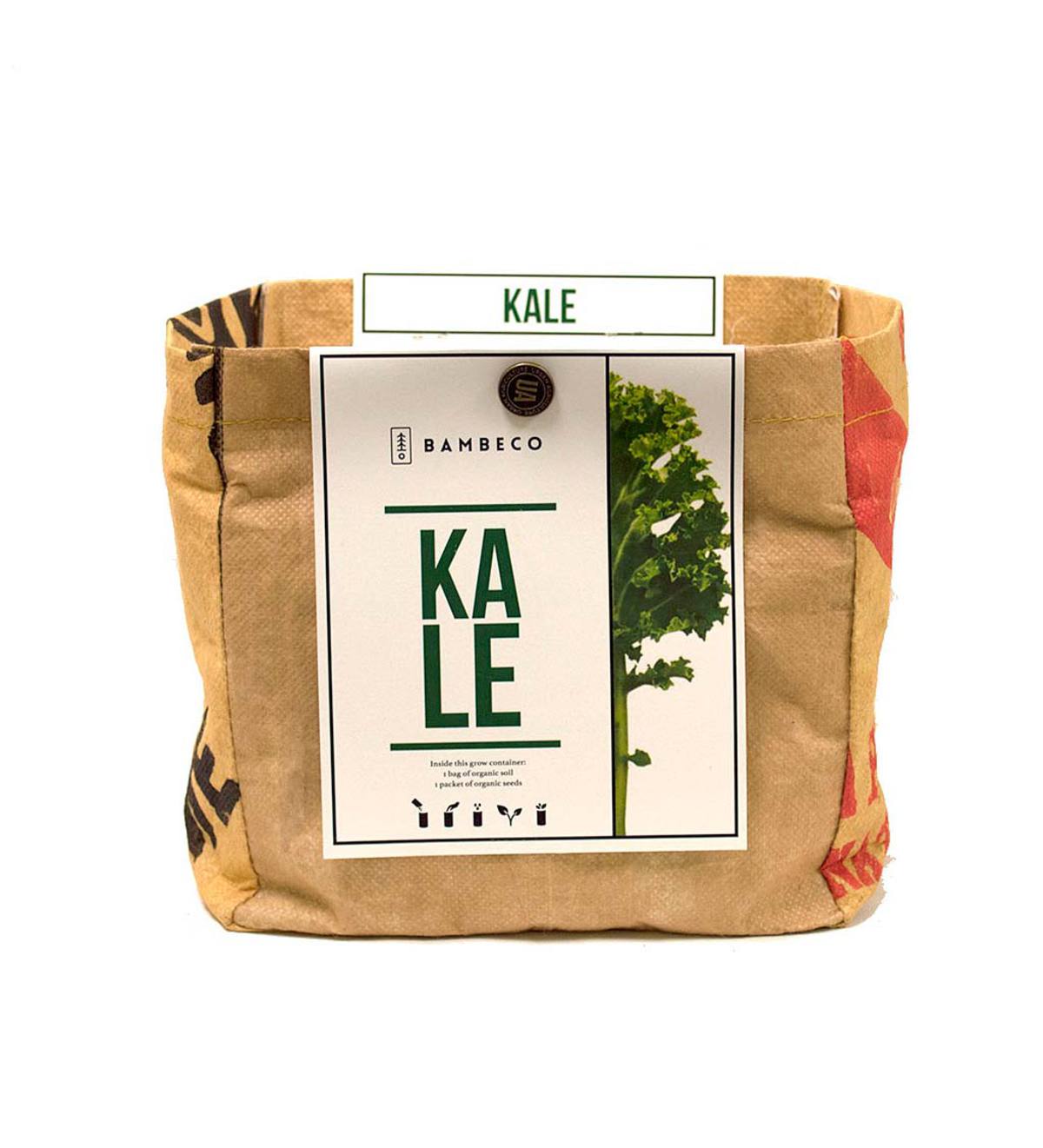 Organic Garden Vegetables Grow Kit - Kale