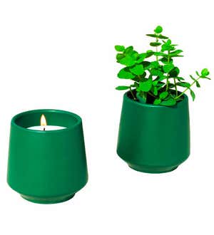 All-in-One Candle and Herb Grow Kit