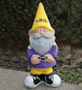 Collegiate Gnome - University of South Florida