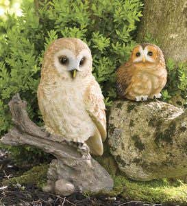Barn Owl On Stump Sculpture