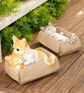 Resin Cats in Cardboard Boxes - Gray