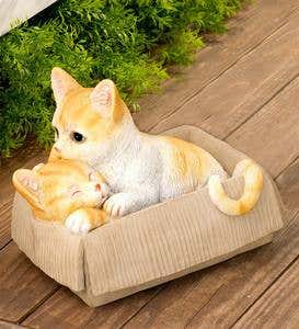 Resin Cats in Cardboard Boxes