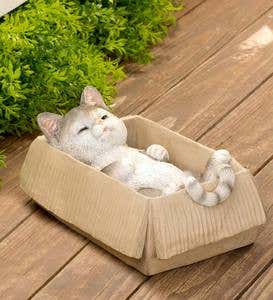 Resin Cats in Cardboard Boxes  - Free 2 Day Delivery - Gray