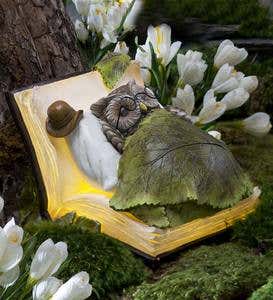 Lighted Animal Book Dreamer Figurine - Frog