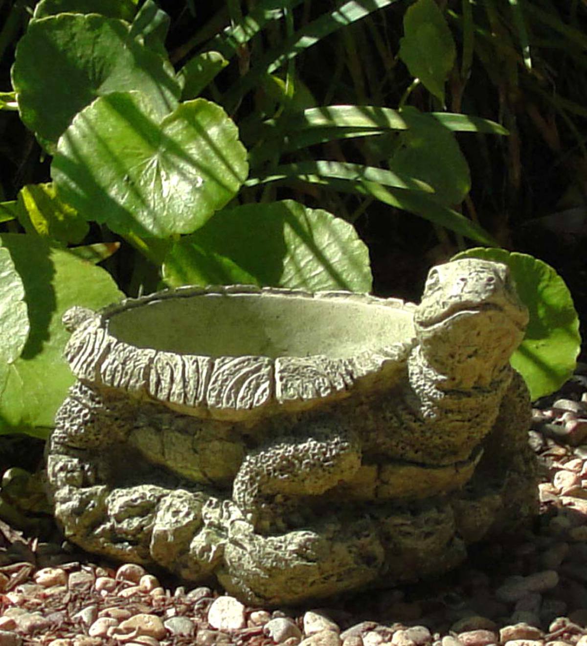 Vintage Smiling Turtle Flowerpot