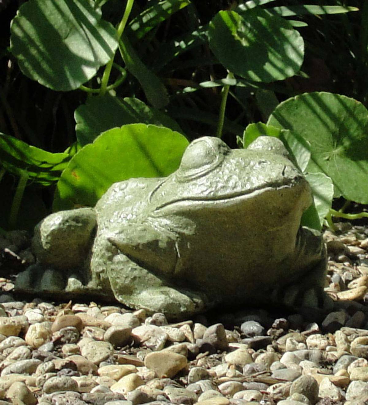 Cast Stone Bullfrog Sculpture