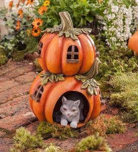 Cat Hiding in Lighted Pumpkin