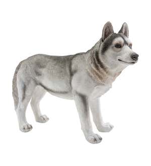 Siberian Husky Dog Statue - Looking Left