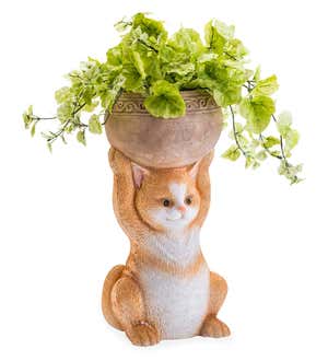 Cat Holding a Bowl Indoor/Outdoor Cast Resin Planter