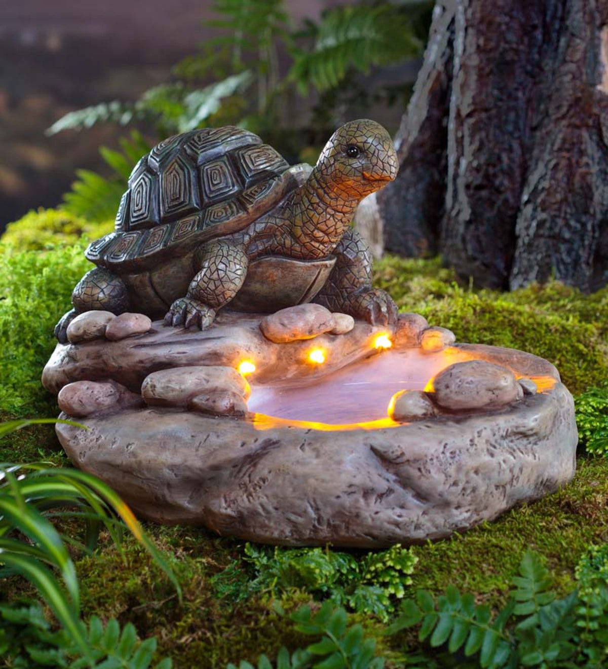 Turtle Birdbath with Solar Lights