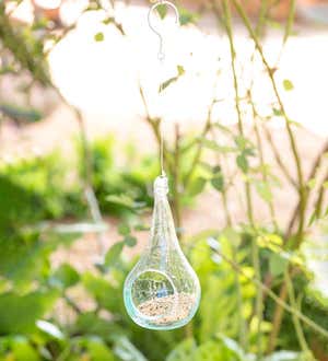 Handcrafted Glass Bird Feeder with Hanging Wire and Hook