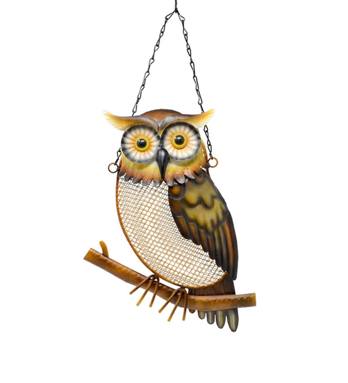 Colorful Hanging Metal Mesh Owl on a Branch Bird Feeder