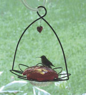 Flower-Shaped Hummingbird Feeder with Heart