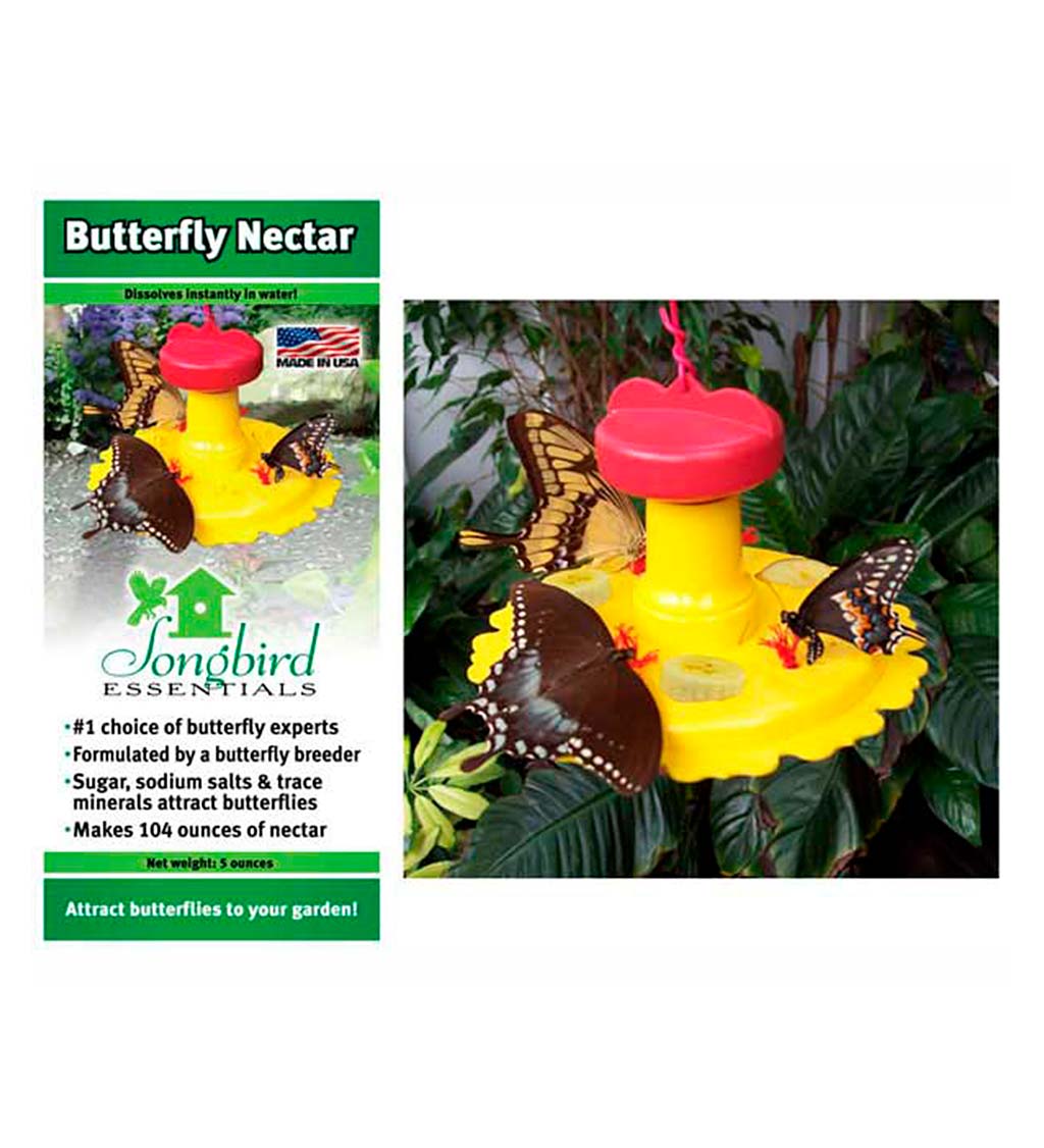 Butterfly Feeder with Nectar