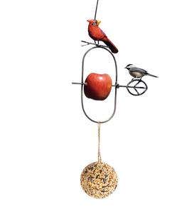 Bird Motif Fruit Spear Feeder and Seed Ball