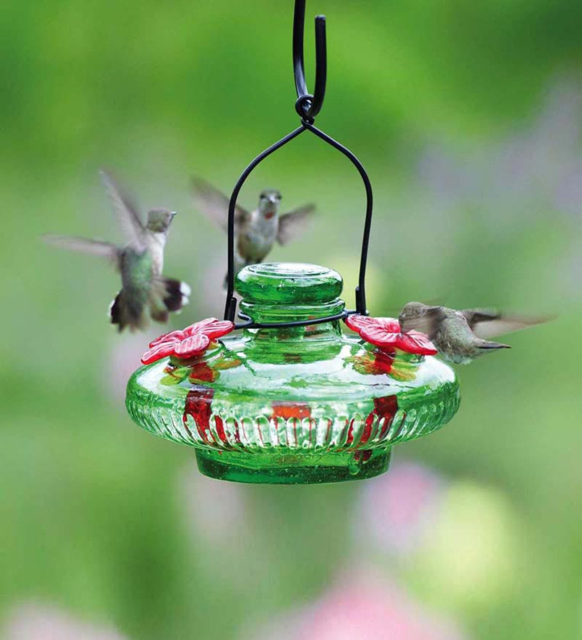 Hurricane Lantern Hummingbird Feeder