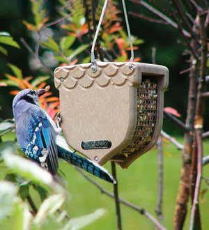 Acorn-Shaped Recycled Plastic Bird Feeder for Shelled Peanuts