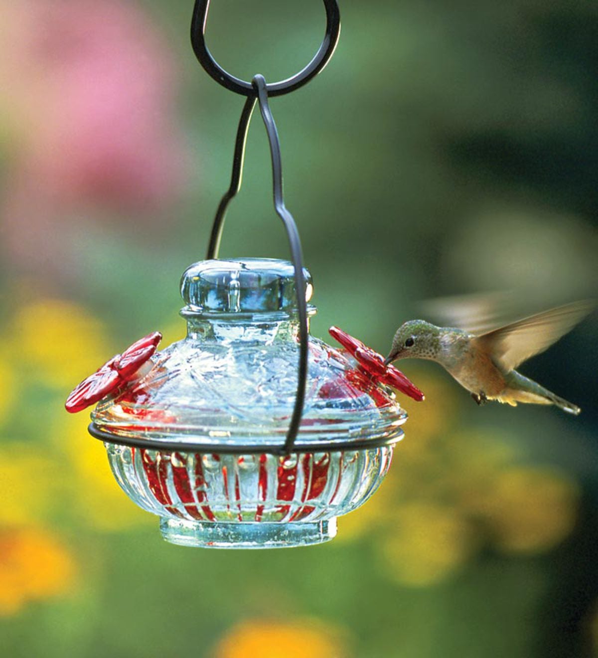 Pot De Créme Hummingbird Feeder - Clear