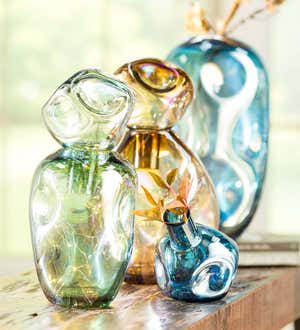 Medium Abstract Organically-Shaped Glass Vase 2-Piece Set