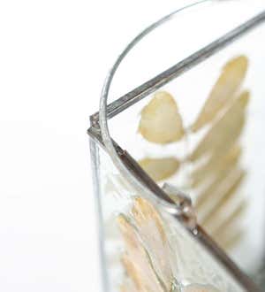 Preserved Leaves Glass Luminaries, Small&Large