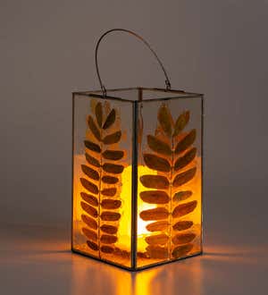 Preserved Leaves Glass Luminaries, Small&Large