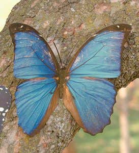 Tropical Butterfly Metal Wall Art - Blue