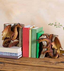 Fighting Dragon Bookends