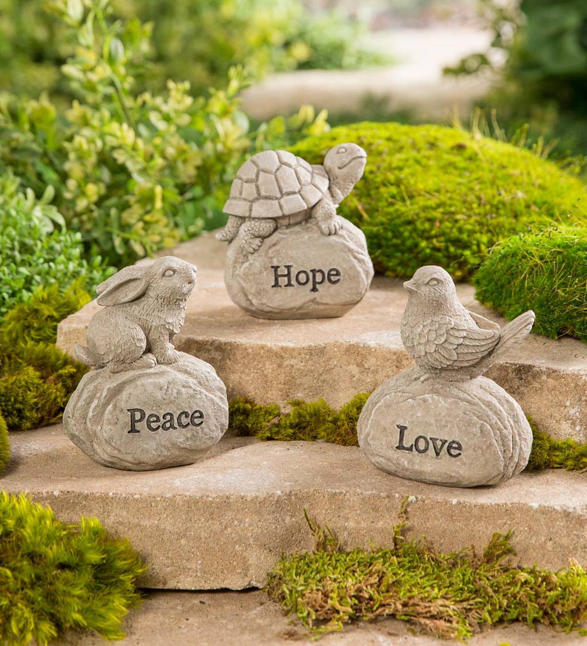 Inspirational Critters on Rocks, Set of 3